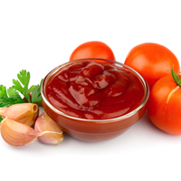 Ketchup Mix With Onion & Garlic